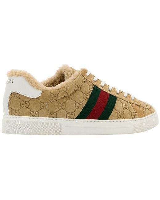 Gucci Brown Suede Sneaker