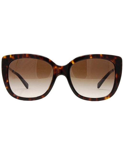 COACH Brown Hc8246F 55Mm Sunglasses
