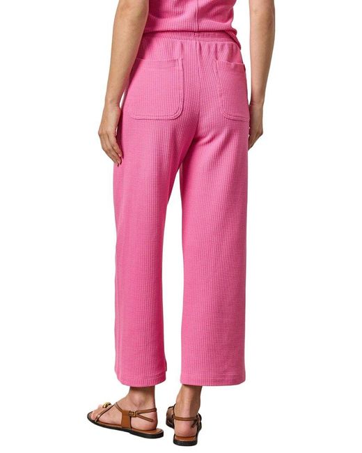 Lilla P Pink Side Panel Pant