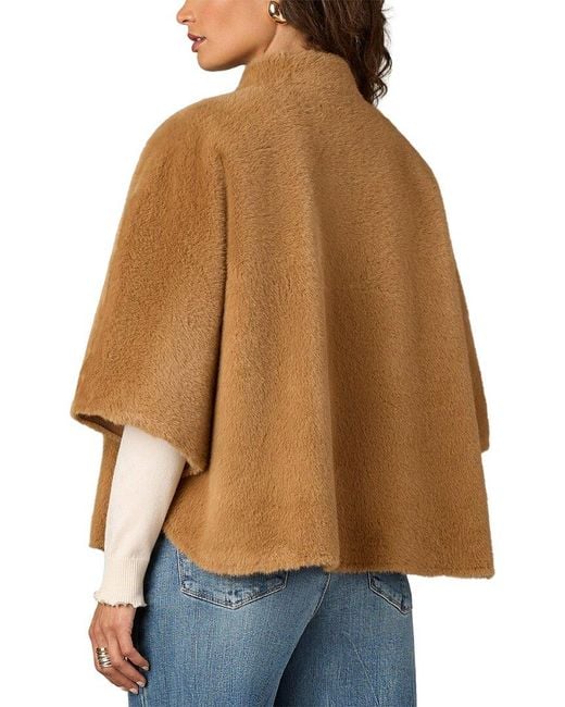 Wit & Wisdom Brown Caplet