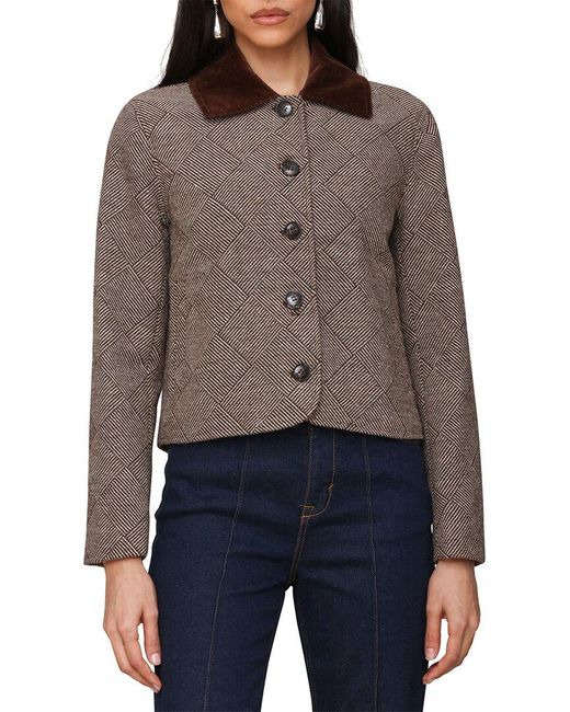 Bagatelle Brown Suiting Coat