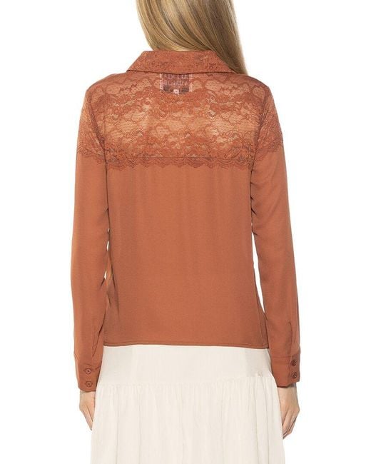 Alexia Admor Brown Cleo Top