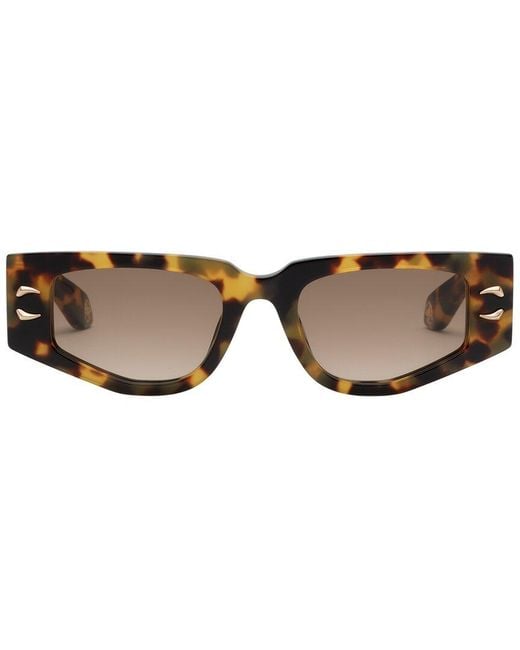 Roberto Cavalli Brown 51Mm Sunglasses