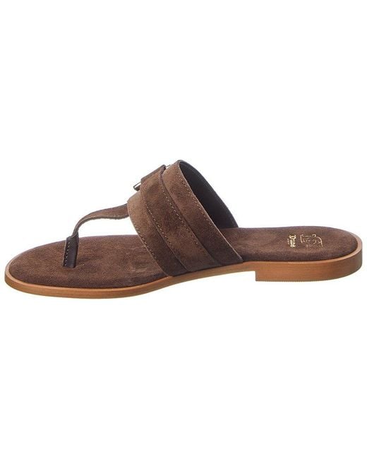 Dune Brown Lotica Suede Sandal