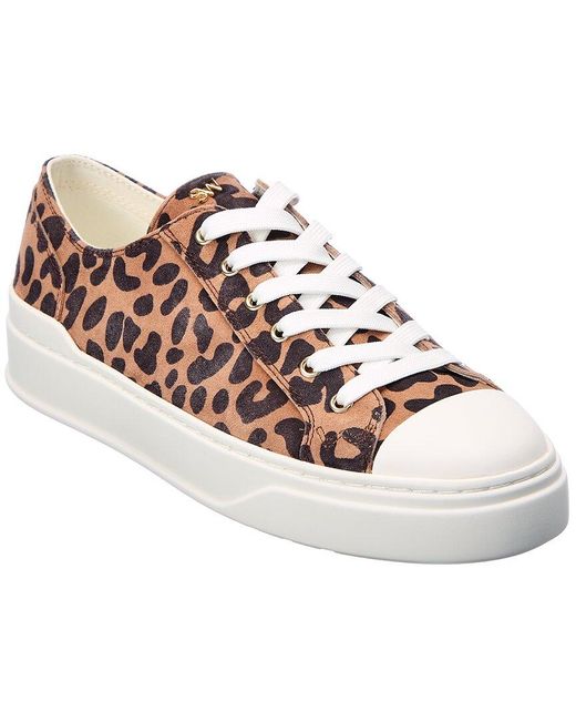 stuart weitzman leopard sneakers