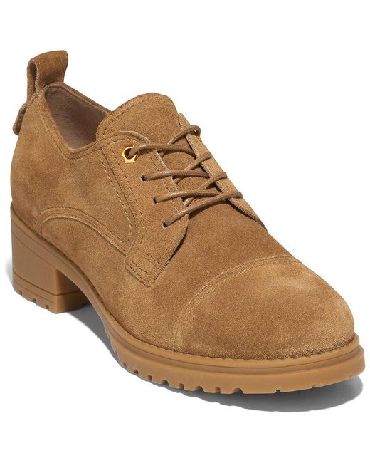 Cole Haan Brown Camea Suede Oxford