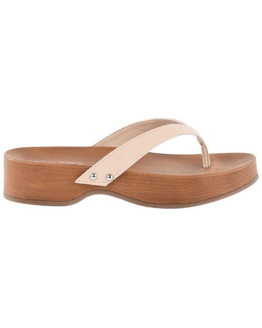 Seychelles Brown Dreaming Out Loud Clog Sandal