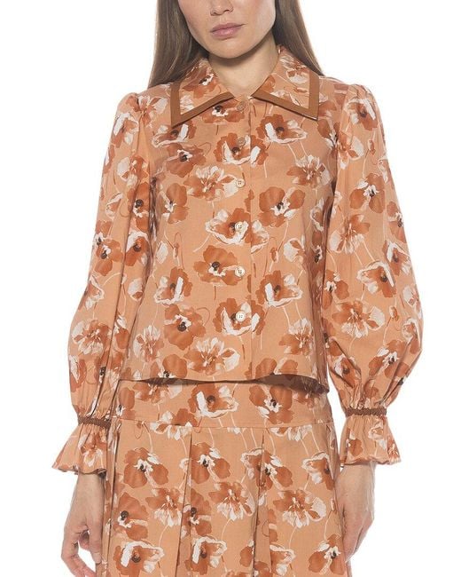 Alexia Admor Brown Shannah Blouse