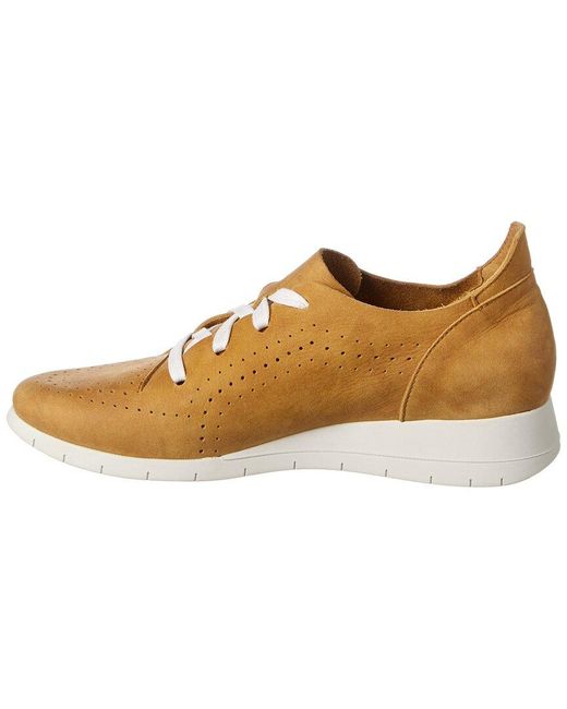 Arche Brown Sitcha Leather Shoe