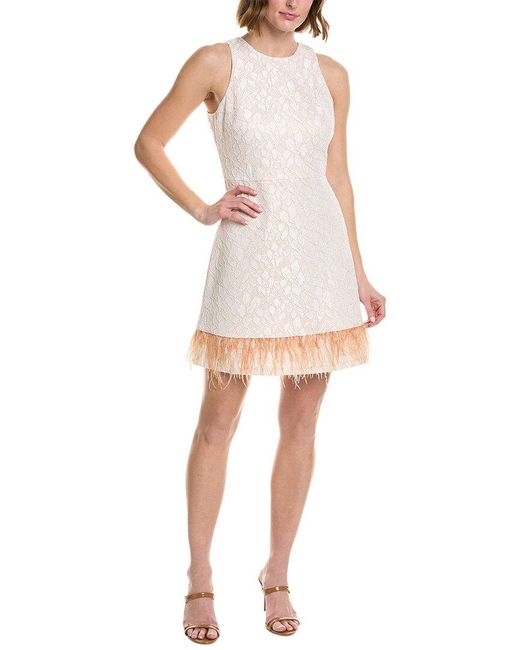 Taylor White Lace Shift Dress