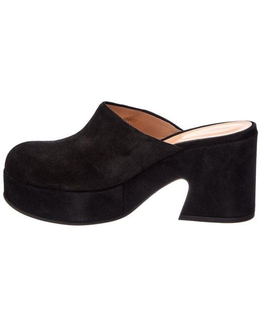 Gianvito Rossi Black Suede Mule