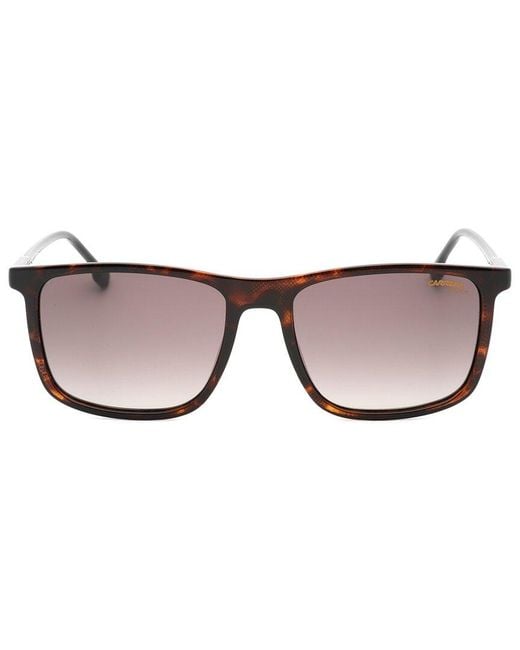 Carrera Brown 55Mm Sunglasses for men