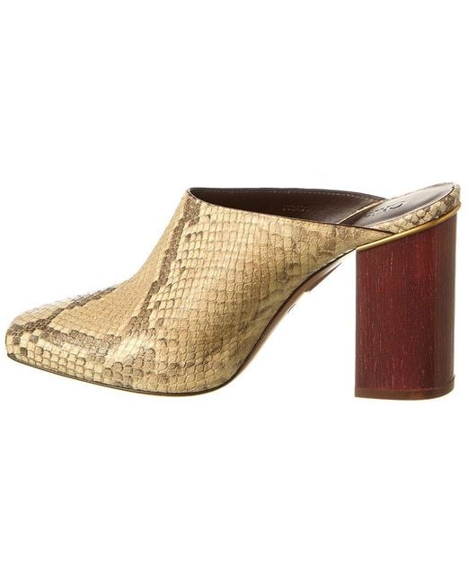Chloé Natural Ambre Snake-Embossed Leather Mule