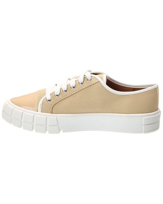 Linea Paolo White Kalaia Sneaker