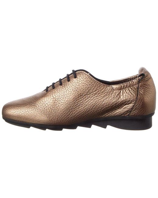 Arche Brown Biboum Leather Sneaker