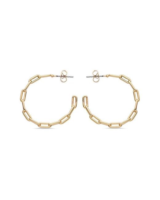 Eye Candy LA Metallic Jeanne Chain Link Loop Earrings