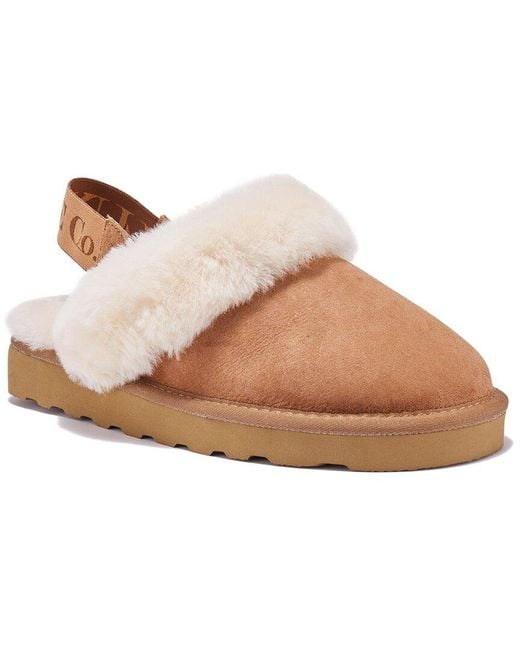 Australia Luxe Brown Mool Suede Slipper