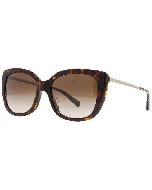COACH Brown Hc8246F 55Mm Sunglasses