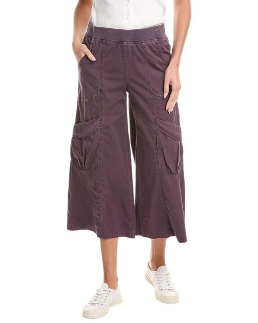 XCVI Purple Faulkner Crop Pant