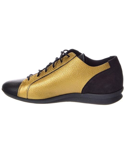 Arche Brown Nasyra Leather Sneaker