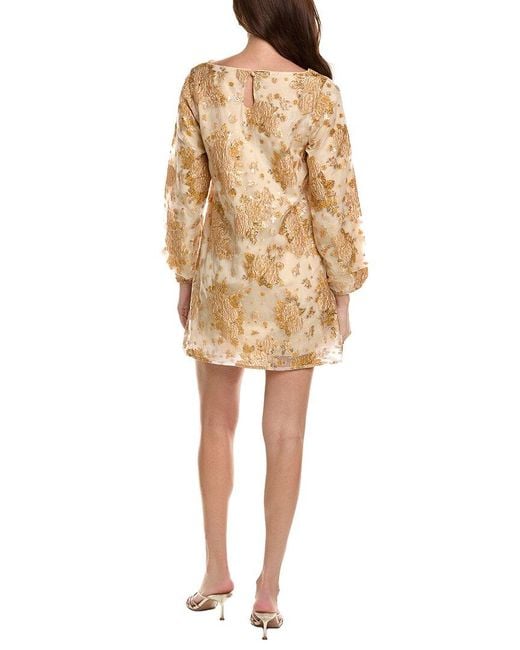 FLORA BEA NYC Natural Aiana Jacquard Organza Wool-Blend Shift Dress