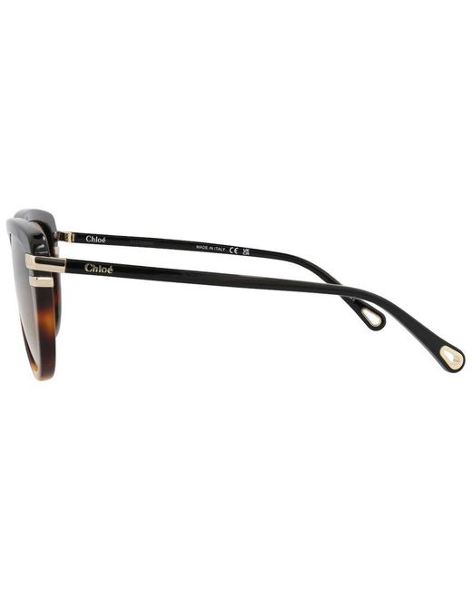 Chloé Brown Ch0203s 59mm Sunglasses