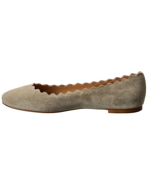 Chloé Brown Lauren Scalloped Suede Ballerina Flat
