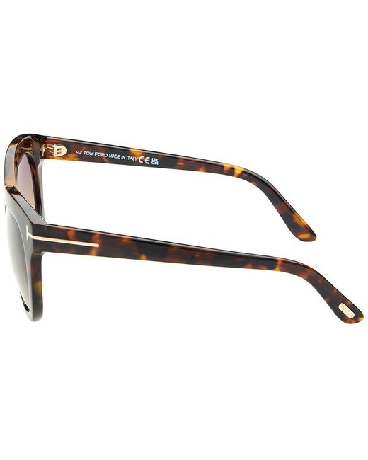Tom Ford Brown Mert 53Mm Sunglasses