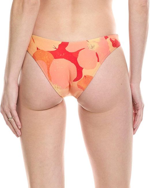LSPACE Orange Rocky Classic Bottom