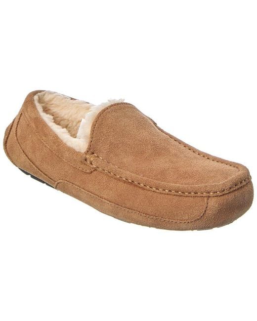 Ugg Brown Ascot Suede Slipper for men