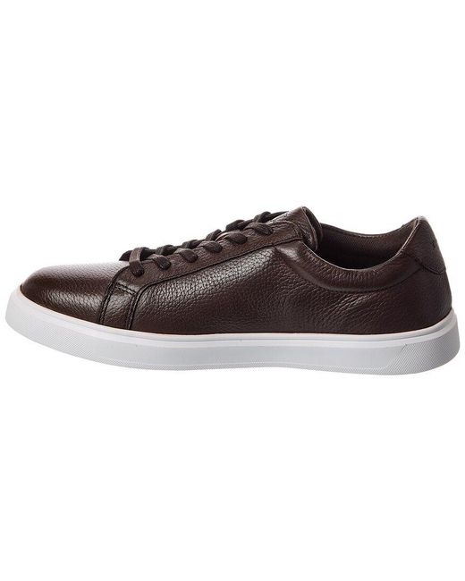 Dune Brown Tais Leather Sneaker for men