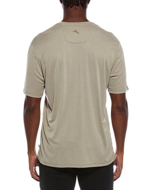 Tommy Bahama Gray Bay Stripe V-Neck T-Shirt for men