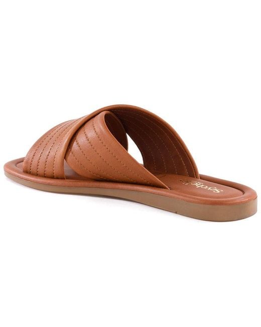 Seychelles Brown Courage Leather Slide
