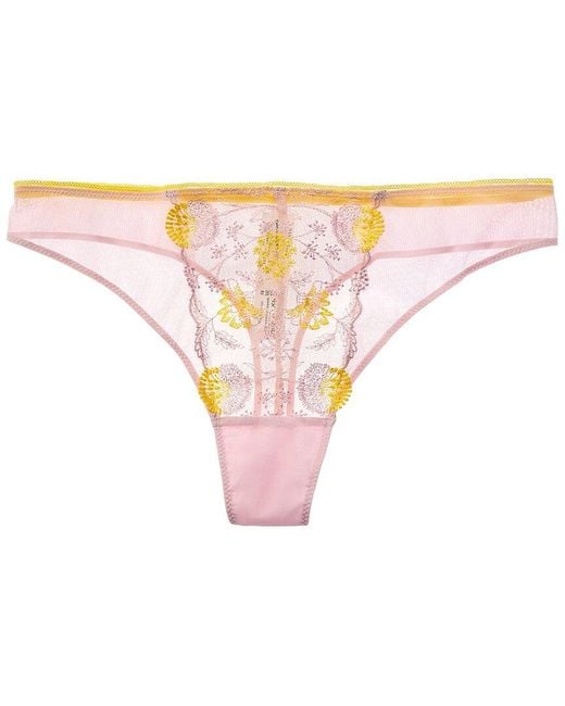 Passionata Pink Chloe Lace Thong