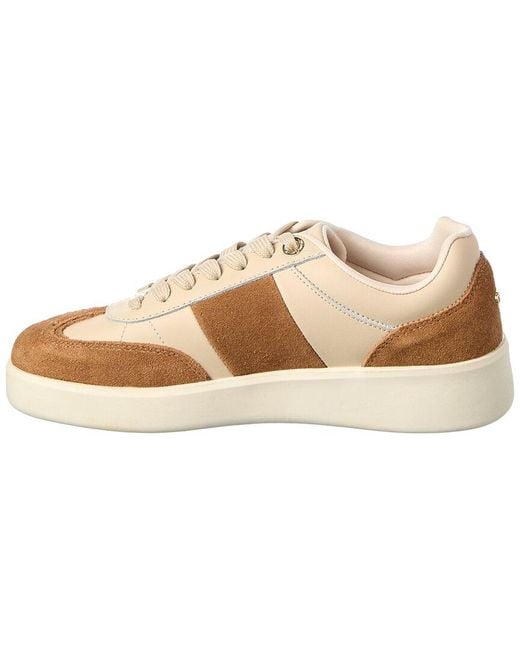 Dune Natural Enticing Suede Sneaker
