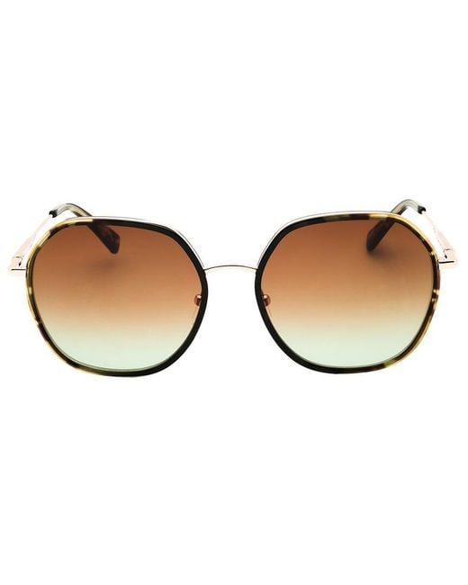 Longchamp Brown Lo163S 58Mm Sunglasses