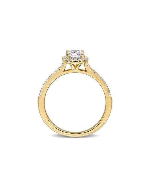 Lab Grown Diamonds White Created Forever 14K 0.99 Ct. Tw. Lab-Grown Diamond Halo Ring