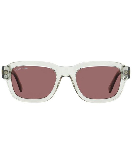 Lacoste Brown L6048S 51Mm Sunglasses for men