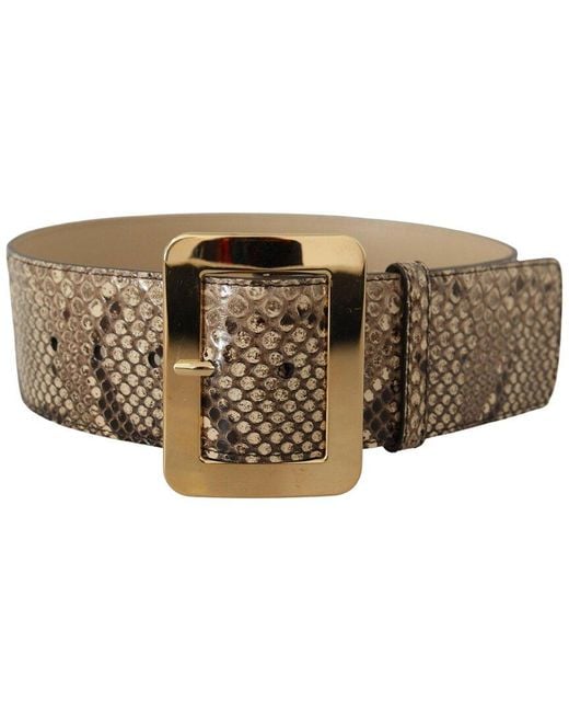 Dolce & Gabbana Brown Python & Leather Belt