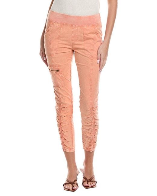 XCVI Pink Malanda Pant