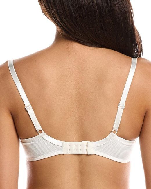 Passionata Brown Brooklyn Plunge Lace T-Shirt Bra