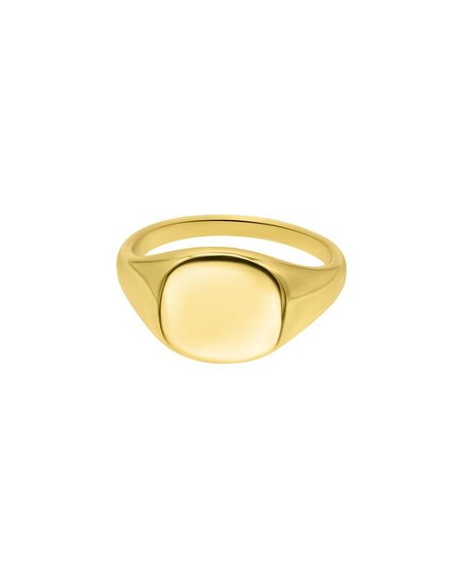 Adornia Metallic 14K Plated Signet Pinky Ring