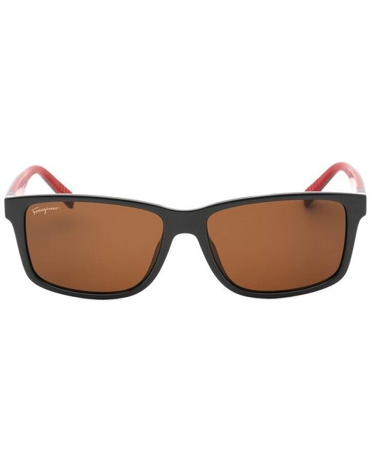 Ferragamo Brown Sf938S 57Mm Sunglasses for men
