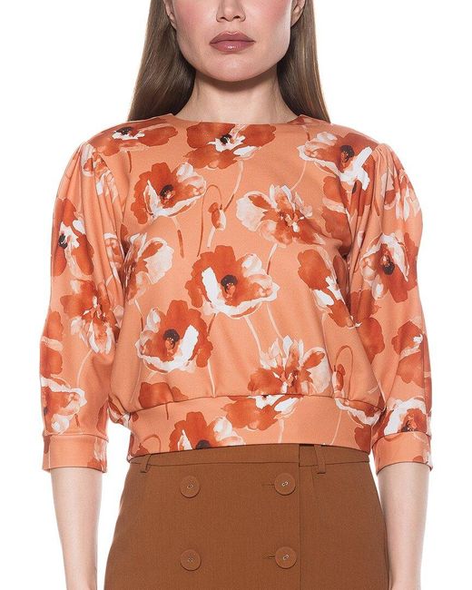 Alexia Admor Orange Bebe Top