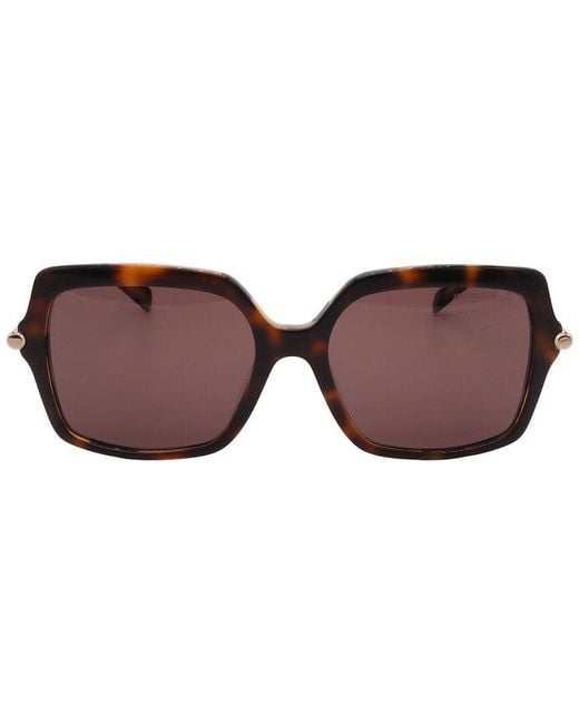 Michael Kors Brown Mk2247U 55Mm Sunglasses