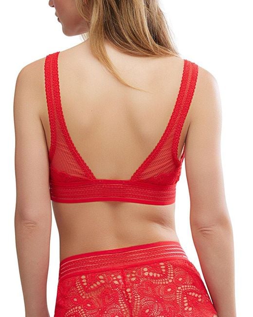 Free People Red Moonlit Meadow Bralette