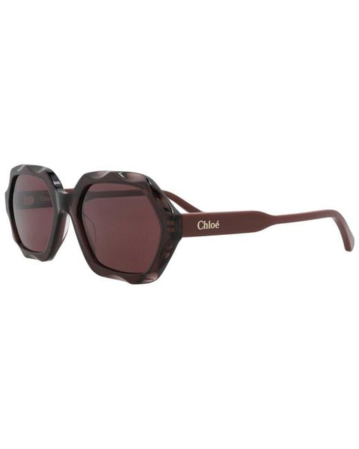 Chloé Brown Ch0227S 56Mm Sunglasses