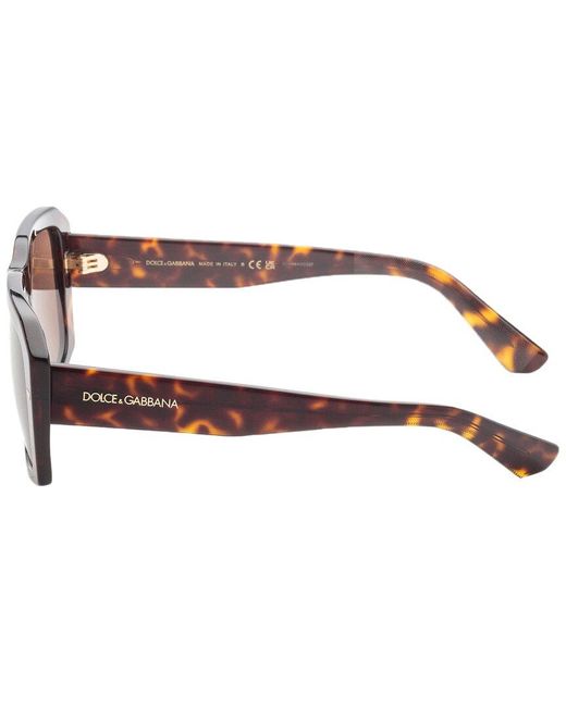 Dolce & Gabbana Brown Dg4430 54mm Sunglasses for men