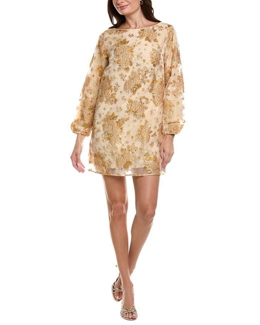 FLORA BEA NYC Natural Aiana Jacquard Organza Wool-Blend Shift Dress