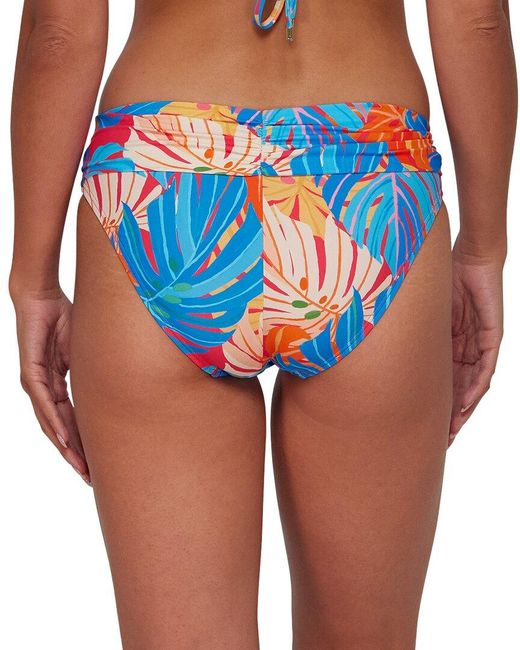 Sunsets Blue Unforgettable Bottom